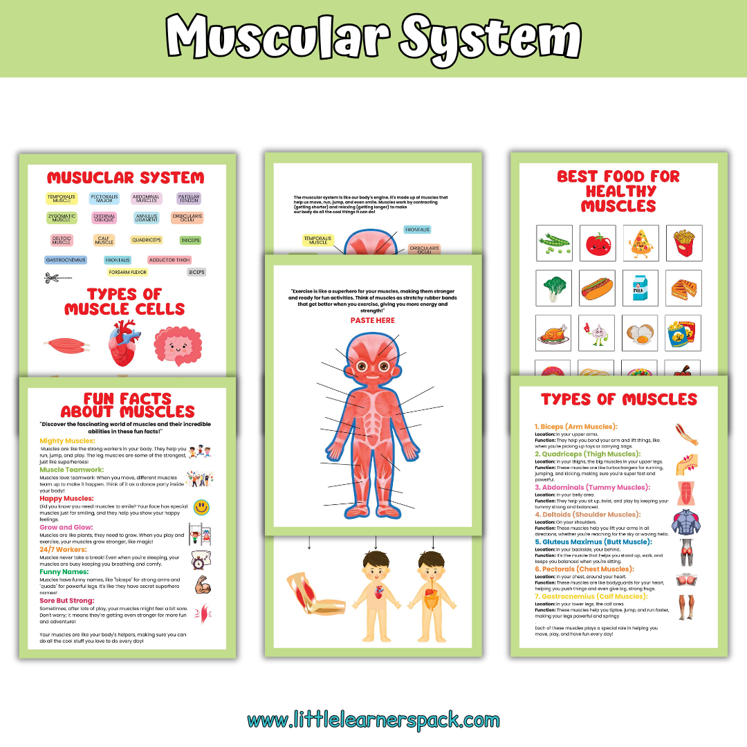 Human Anatomy Book with 200+ Worksheets - Printable Preschool Busy Book