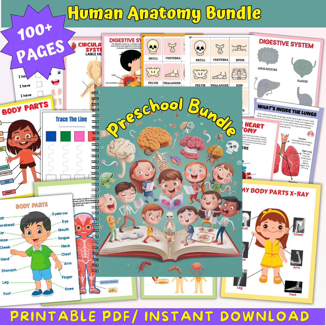 Human Anatomy Book with 200+ Worksheets - Printable Preschool Busy Book