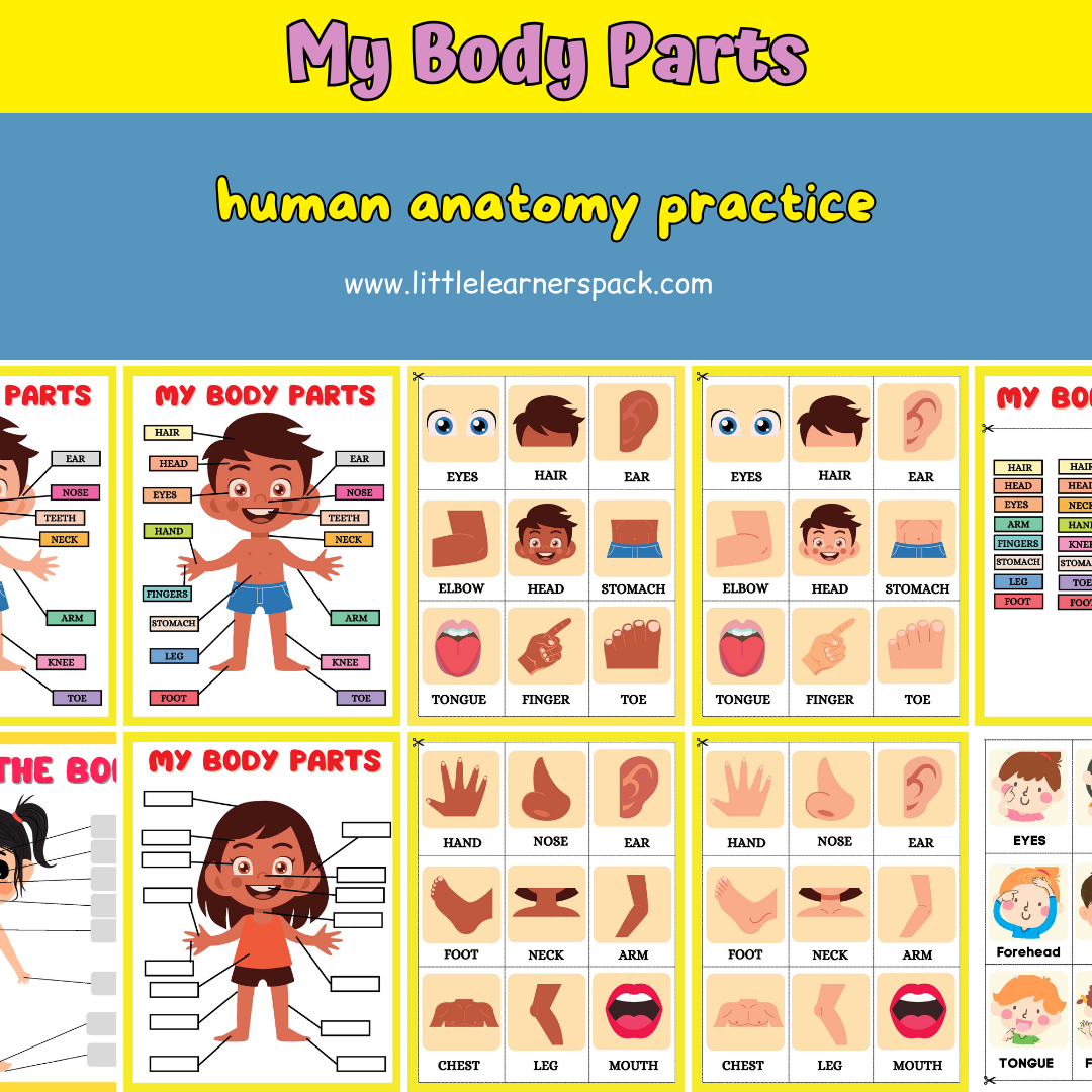 Human Anatomy Book with 200+ Worksheets - Printable Preschool Busy Book