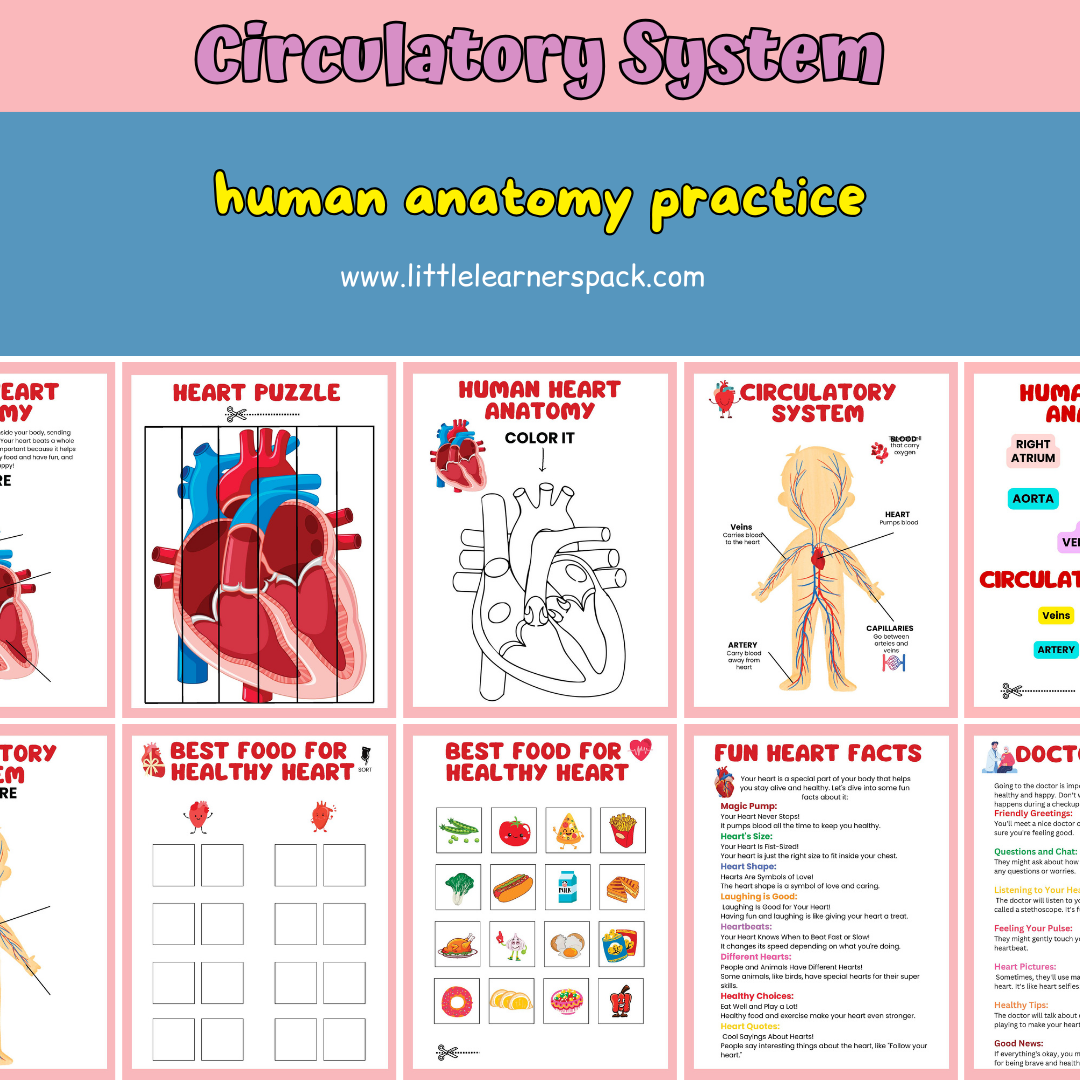 Human Anatomy Book with 200+ Worksheets - Printable Preschool Busy Book