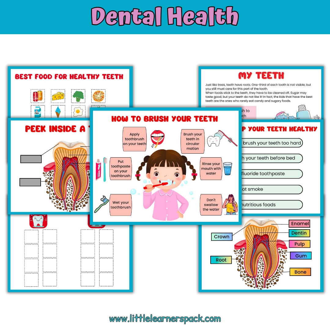 Human Anatomy Book with 200+ Worksheets - Printable Preschool Busy Book