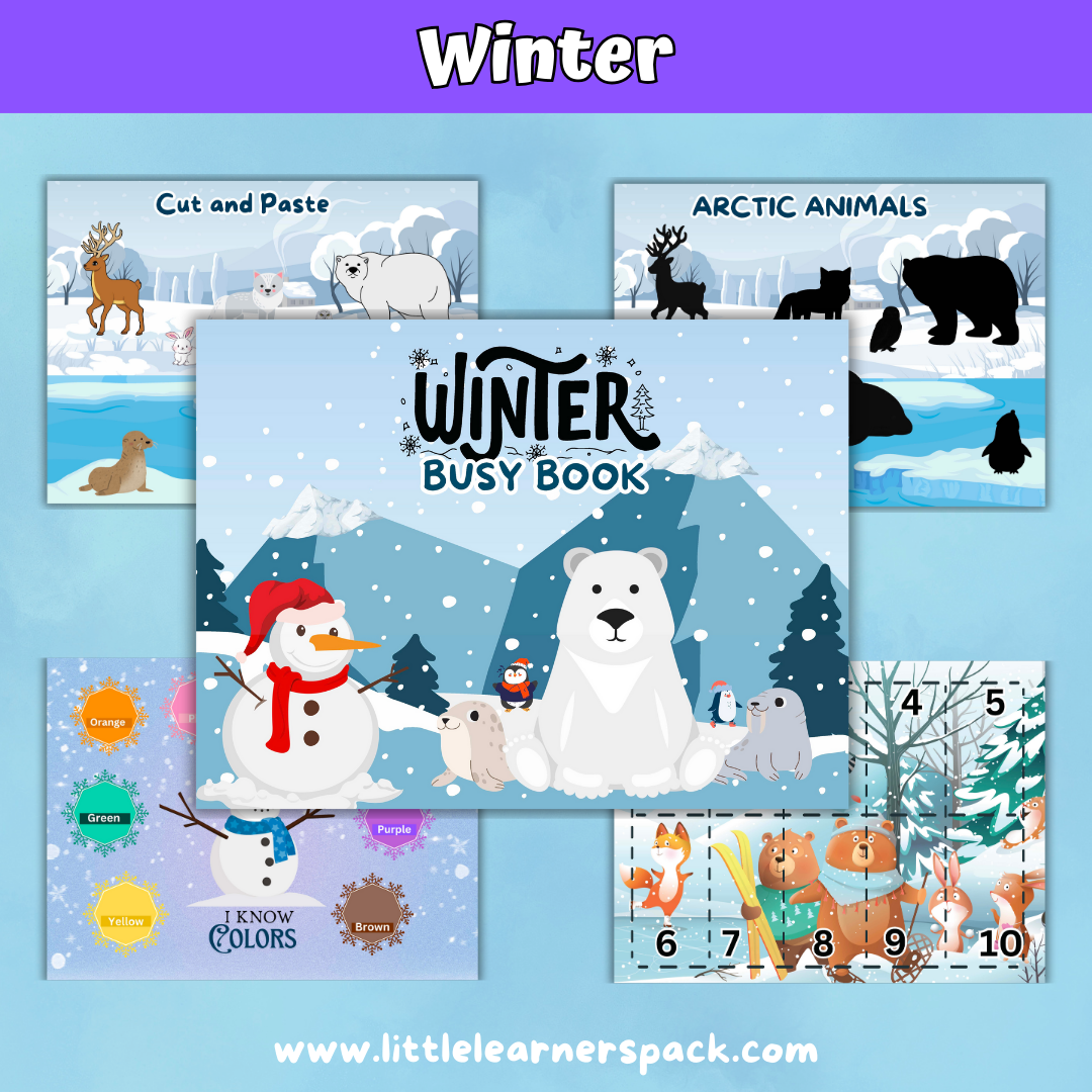 Preschool Activity Seasons Busy Book Bundle - Fall, Winter, Spring, Summer Busy Book